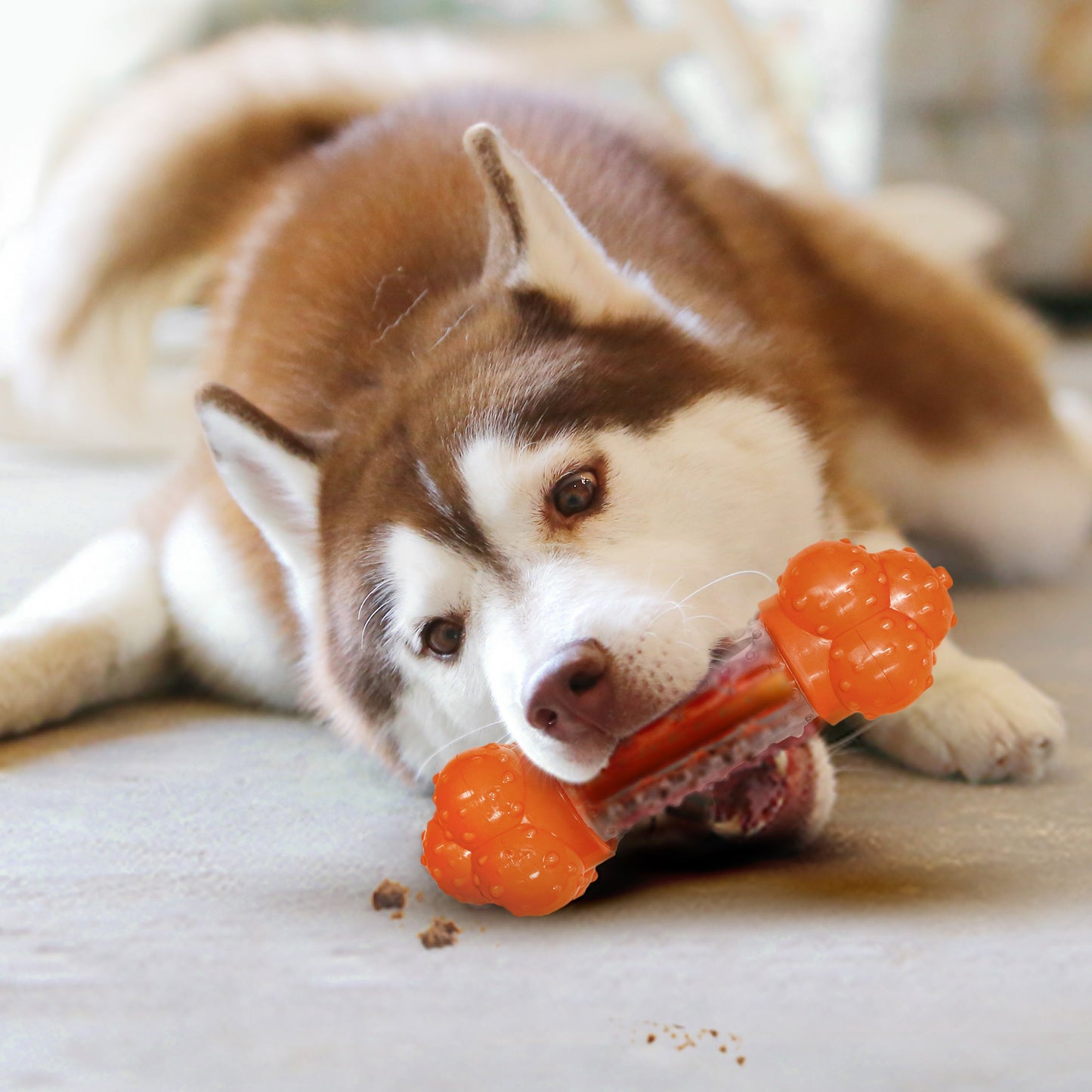 Nylabone Sneaky Snacker Dog Treat Toy Bacon, Orange, 1ea/Large/Giant Up To 50 Lbs. 1 ct