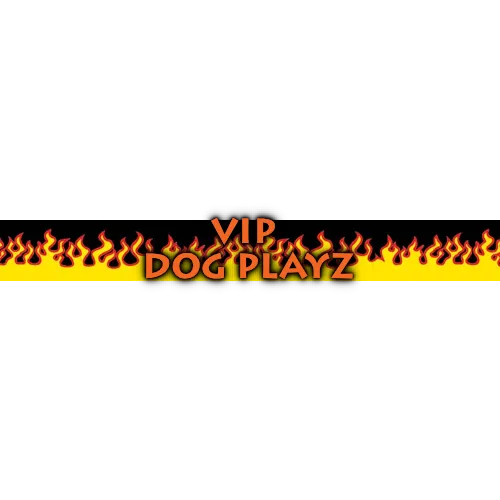 Personalized Red Flames Dog Collar