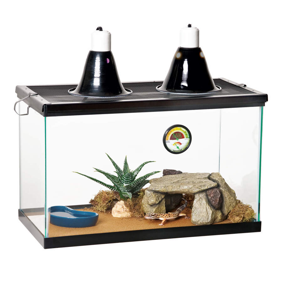 Zilla Shale Rock Den Medium