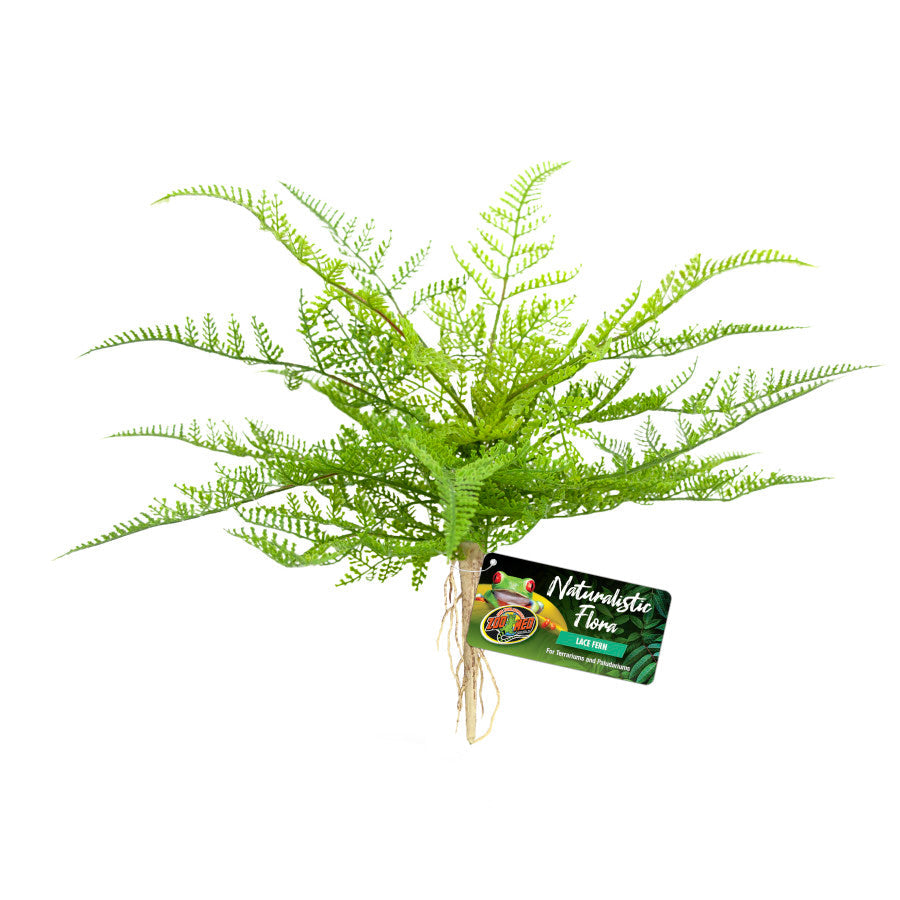 Zoo Med Naturalistic Flora Lace Fern Terrarium Plant