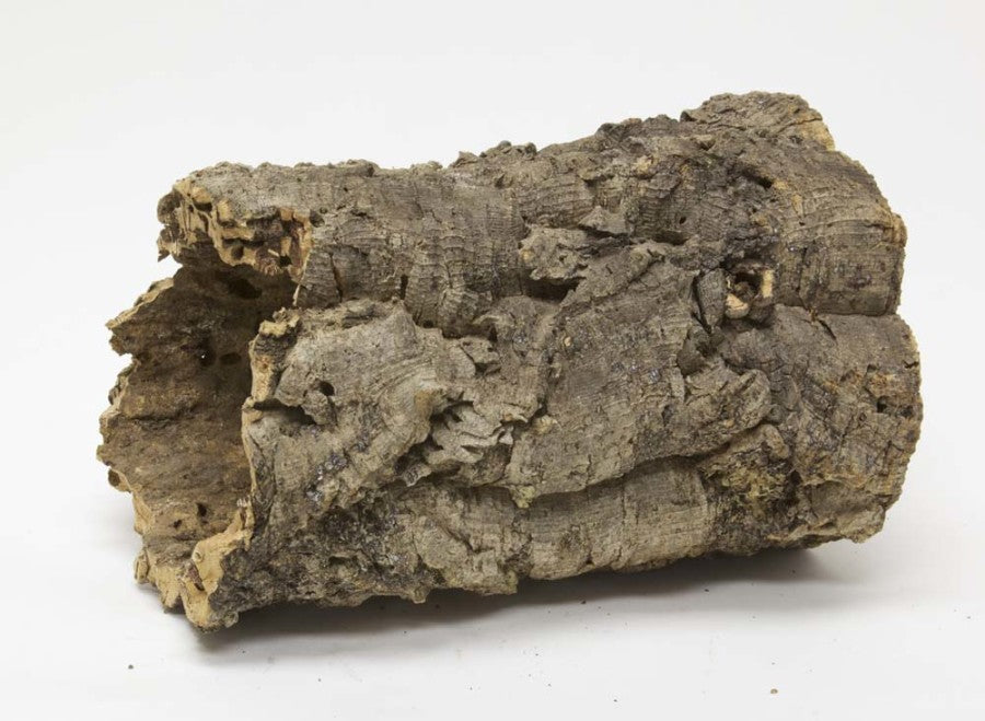 Zoo Med Natural Cork Bark Round Medium