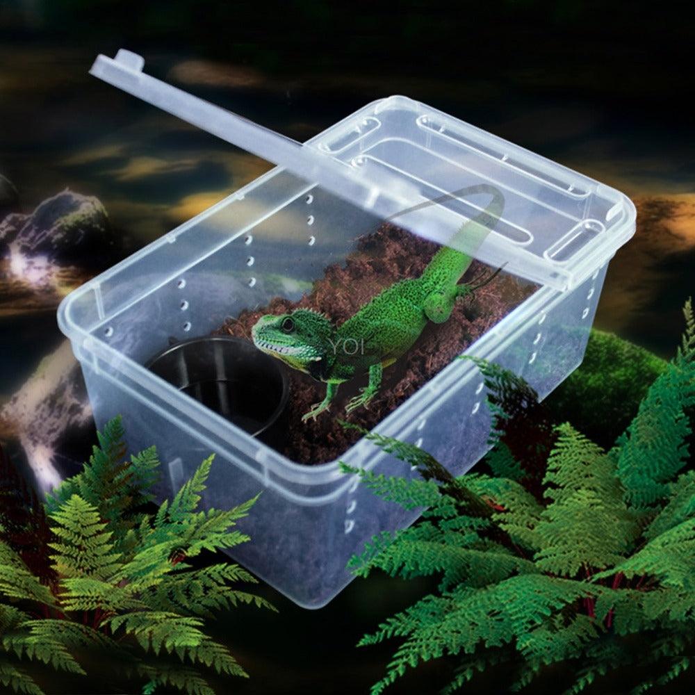 Transparent Reptile Haven The Perfect Enclosure For Your Cold Blooded Companions