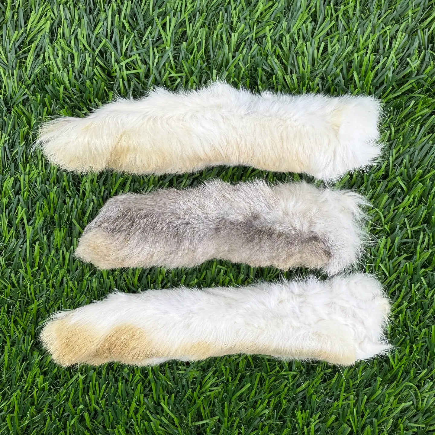 Freeze-Dried Rabbit Foot - 1 Count