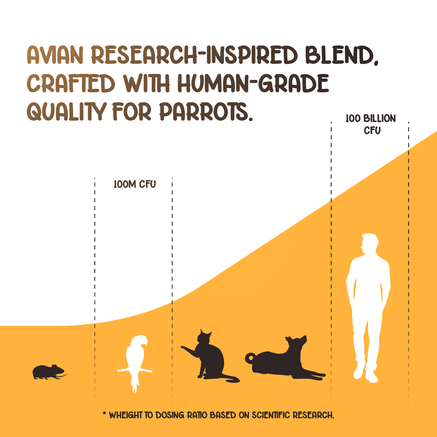 Organic Pre Pro Post Biotics Blend For Parrots 1 06Oz