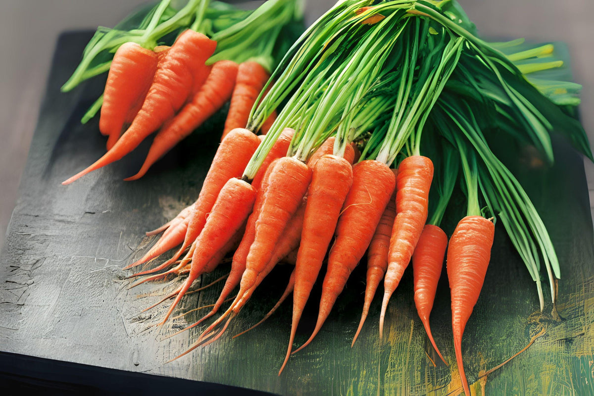 Chantenay Red Cored Carrot Seeds, Heirloom, Sweet & Crunchy, Daucus carota, 800 Pack for Home Garden, Container & Raised Bed Growing