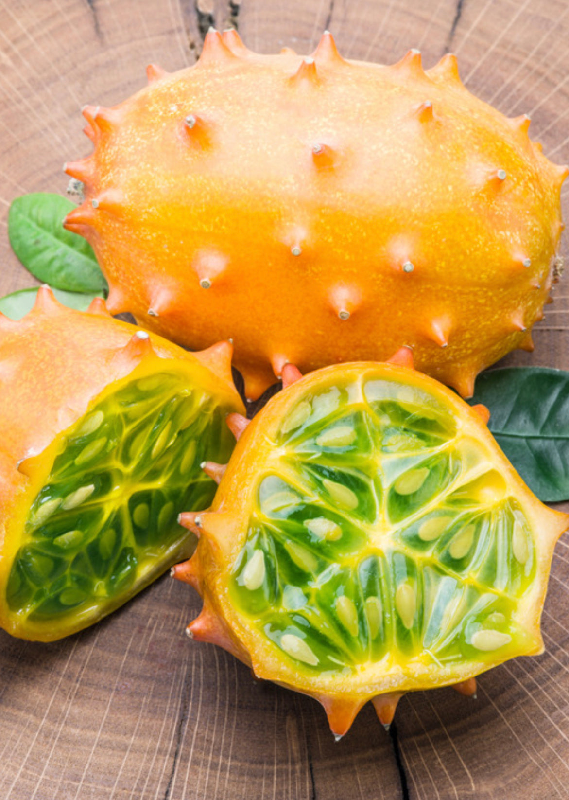 Kiwano Orange Fruit Vine, Edible Cucumber Melon, African Horned Cucumber, Cucumis metuliferus