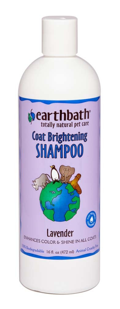 earthbath Coat Brightening Shampoo Lavender 16oz