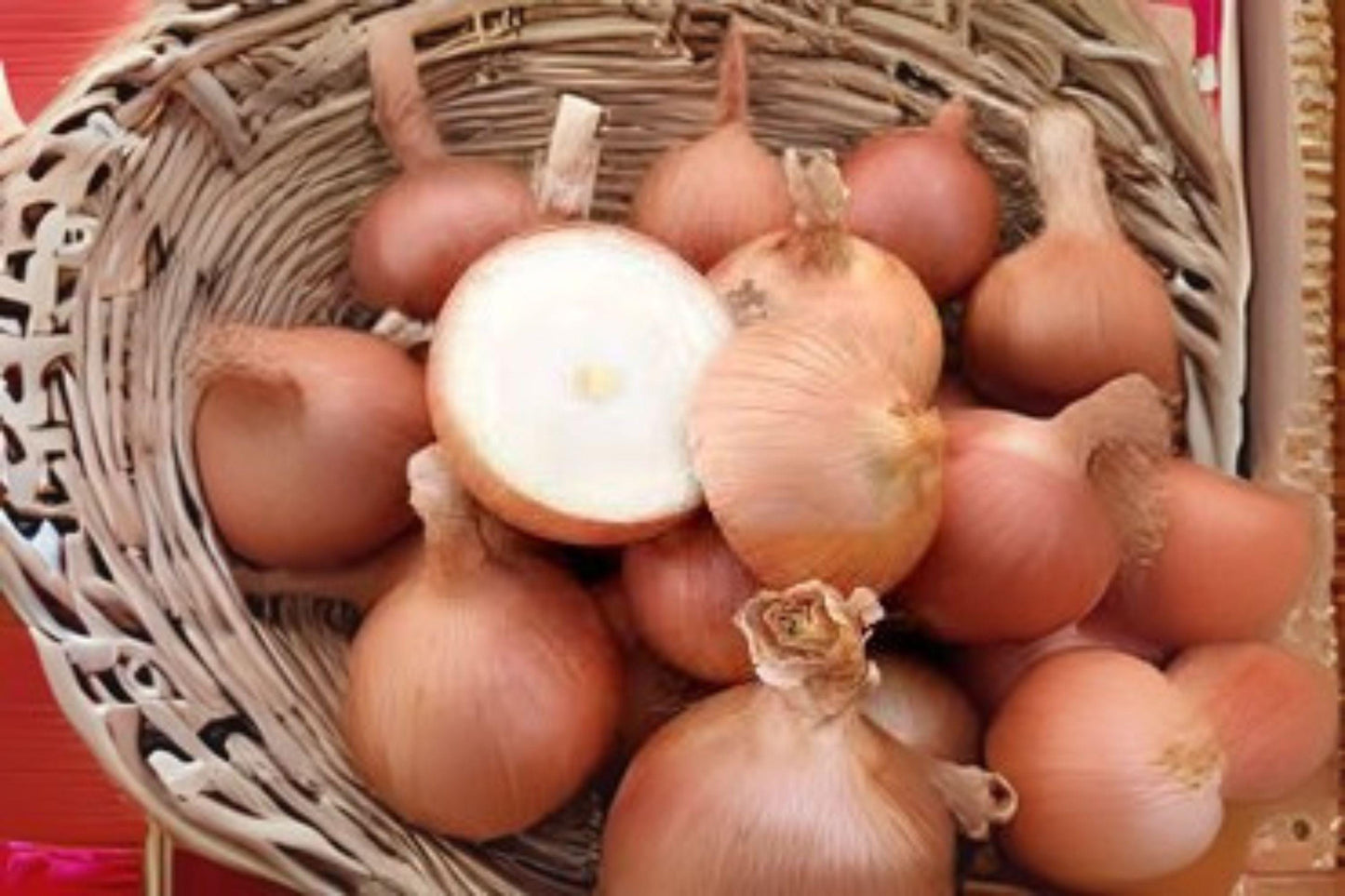 Sweet Spanish Colorado #6 Onion Seeds, Heirloom Allium cepa, Large Golden-Yellow Bulbs, Mild Flavor, 250 mg Pack