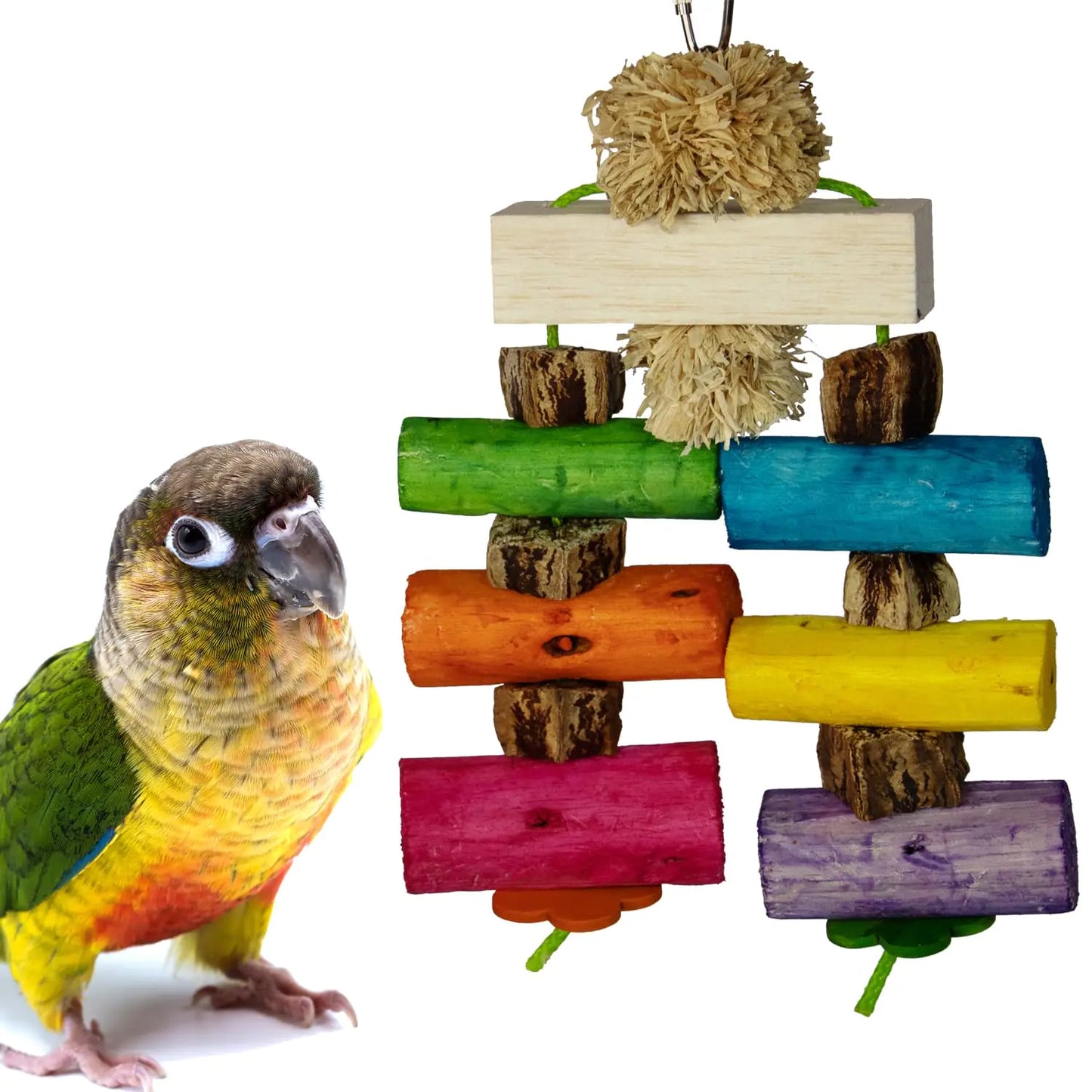 Super Bird Creations Sb1179 Sola Surprise Bird Toy Wooden Bird Toy For Parrots Ringnecks Medium Conures Quakers Crafted For Medium Sized Birds Ideal For Preening And Chewing Behavior 9X6