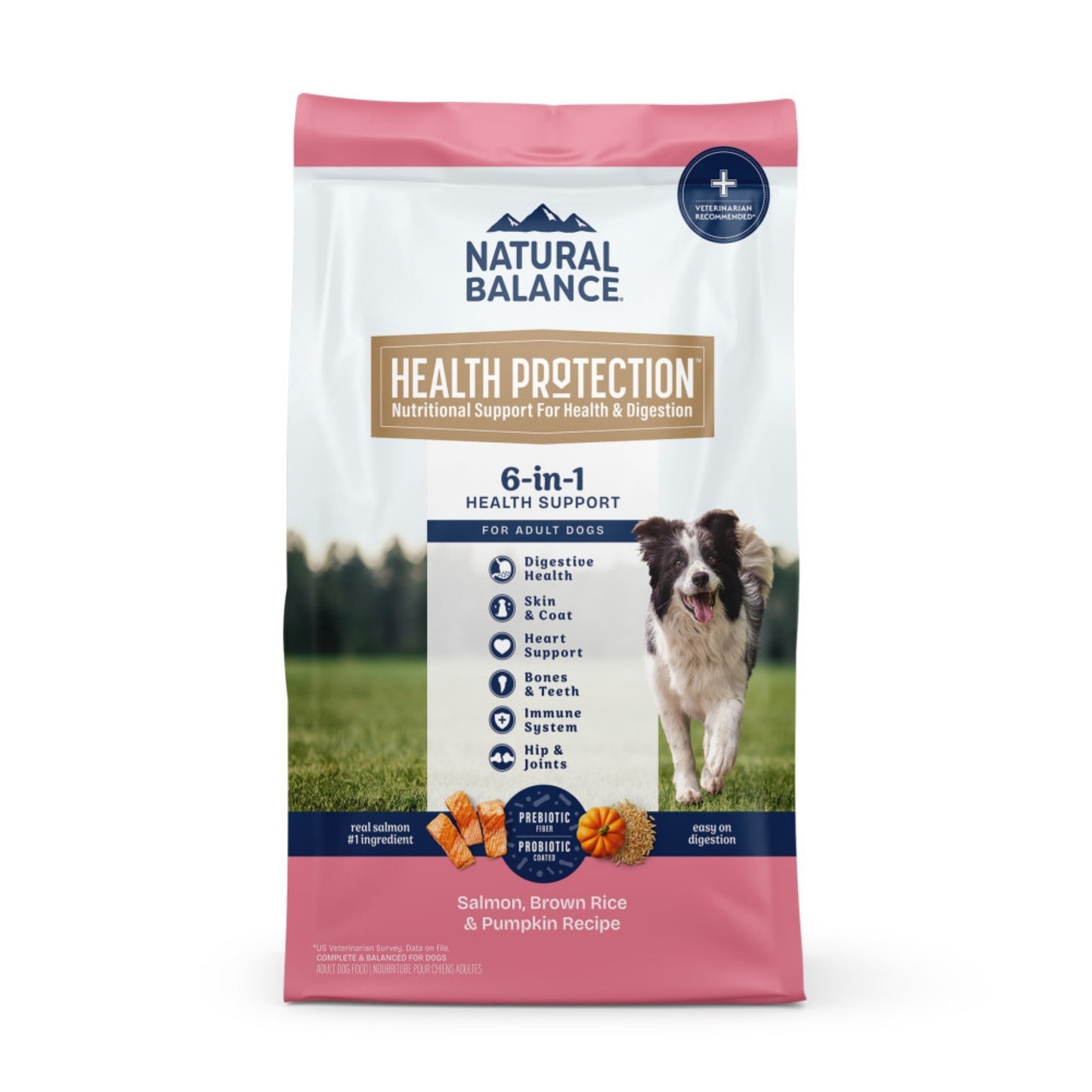 Natural Balance Pet Foods Health Protection Dry Dog Food Salmon, Brown Rice Pumpkin, 1ea/4 lb