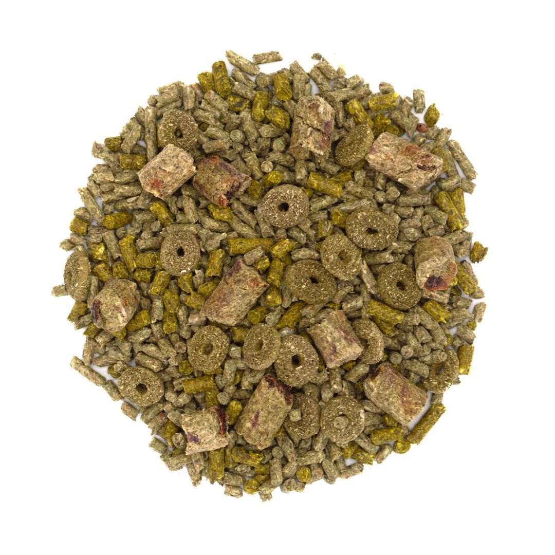 Oxbow Forage Wise Hamster and Gerbil Food 2lb