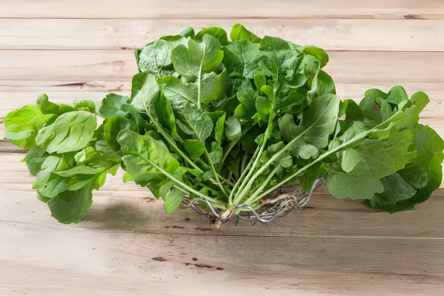 Arugula Seeds, Heirloom Rocket, Peppery Salad Greens, Eruca vesicaria, Pack of 700