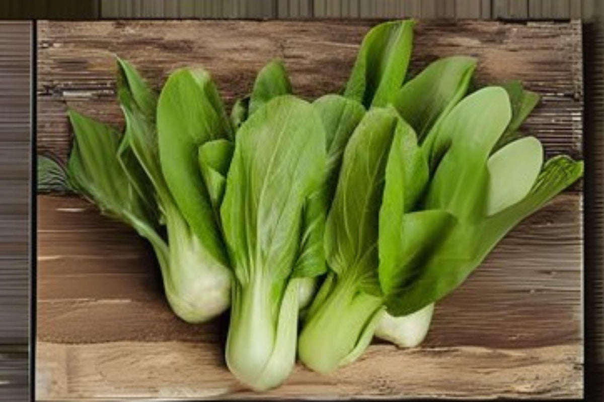 Dwarf Pak Choi Seeds, Baby Bok Choy, Stir Fry Greens, Brassica rapa, 180 Seeds