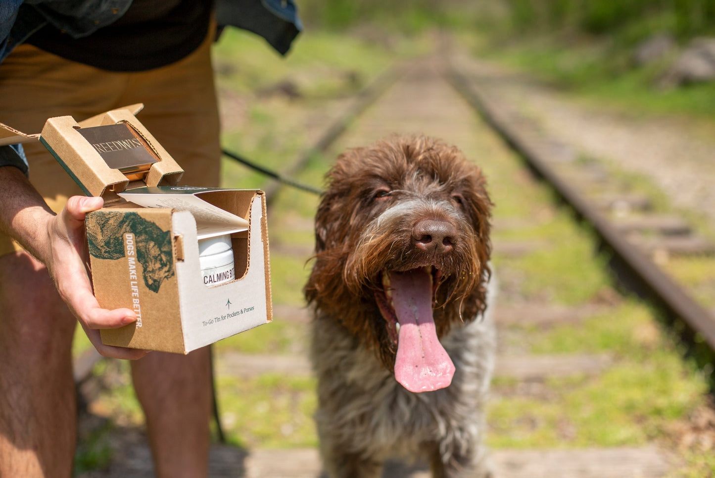 Calming Bites 100-count Jar
