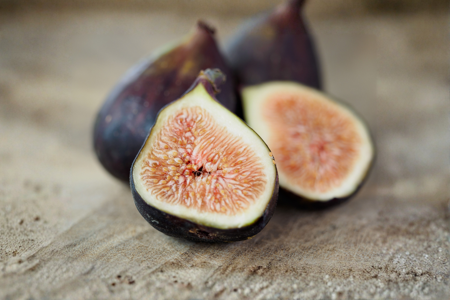 Black Mission Fig Live Rooted Plant – Ficus carica – Rooted Potted Fig Cutting