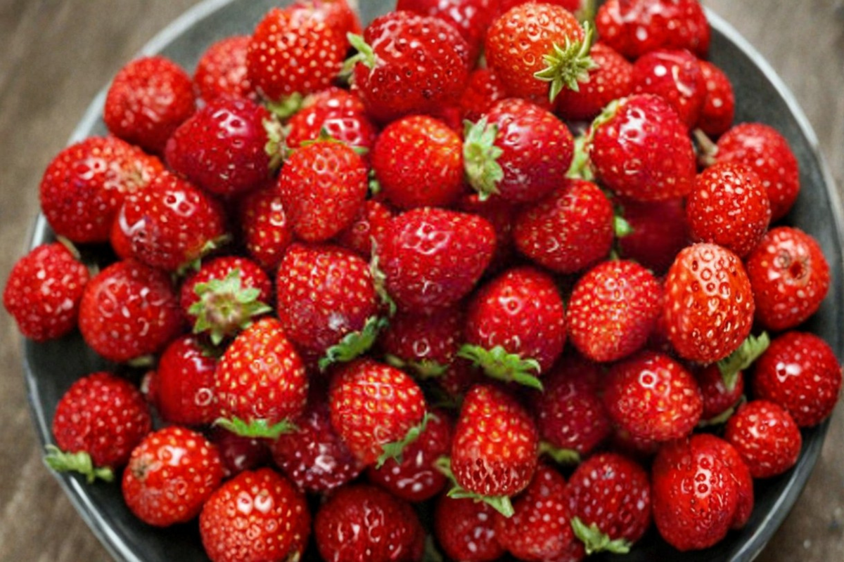 Climbing Strawberry Seeds 200 Pack – Fragaria × ananassa Fruitful Vine for Vertical Gardening, Containers & Outdoor Gardens