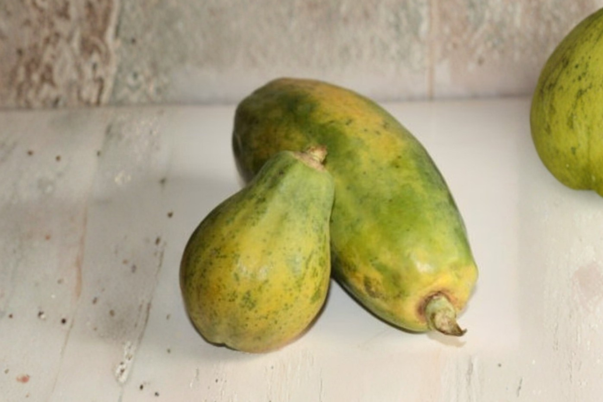 Giant Papaya Seeds - Rare Tropical Fruit Variety for Outdoor Garden & Container Growing - Carica papaya