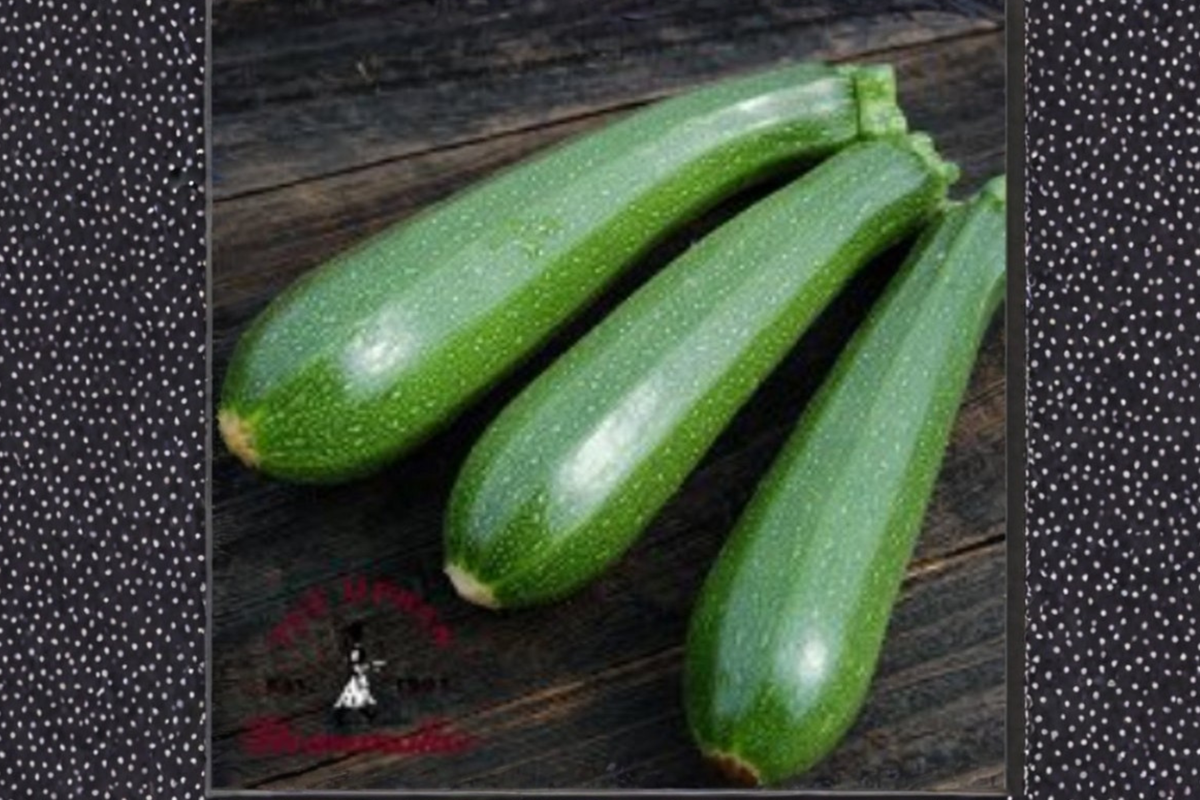 Rare Dwarf Zucchini Seeds 40 Pack | Compact Vegetable Seeds for Container & Garden | Cucurbita pepo