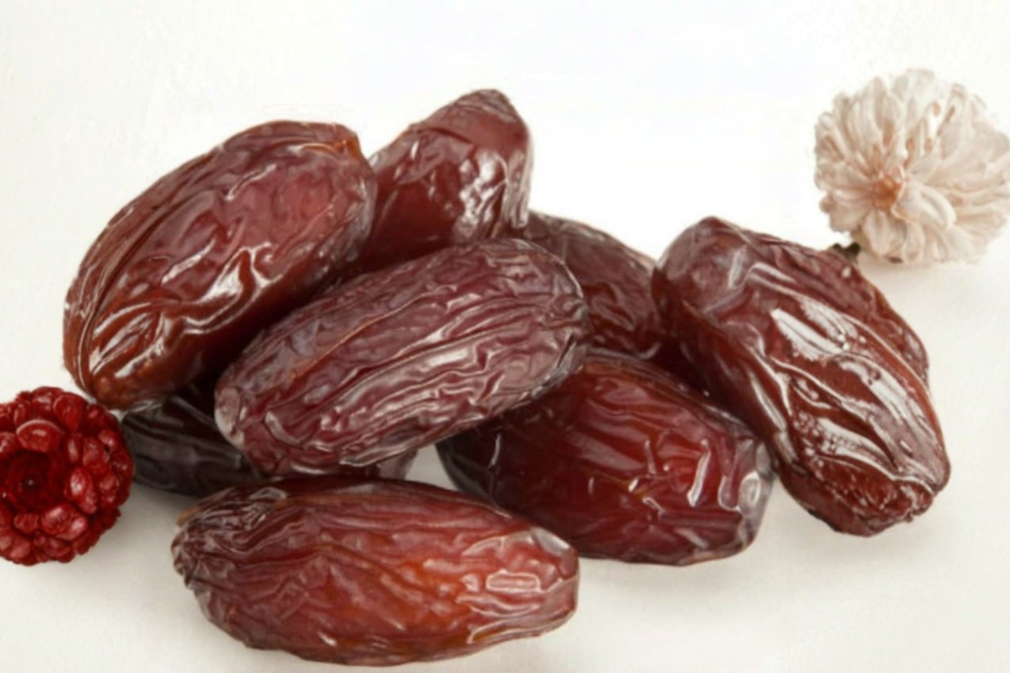 Medjool Date Palm Seeds – Phoenix dactylifera, Tropical Fruit Tree, 8 Seeds for Garden & Container Growing