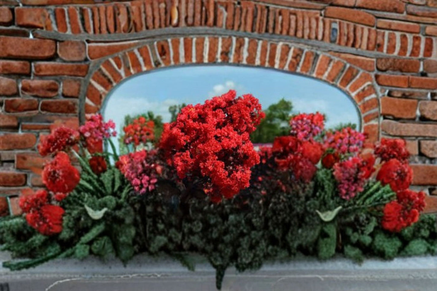 Ruby Thunderstruck Crape Myrtle Live Plant – Red Flowering Ornamental Tree