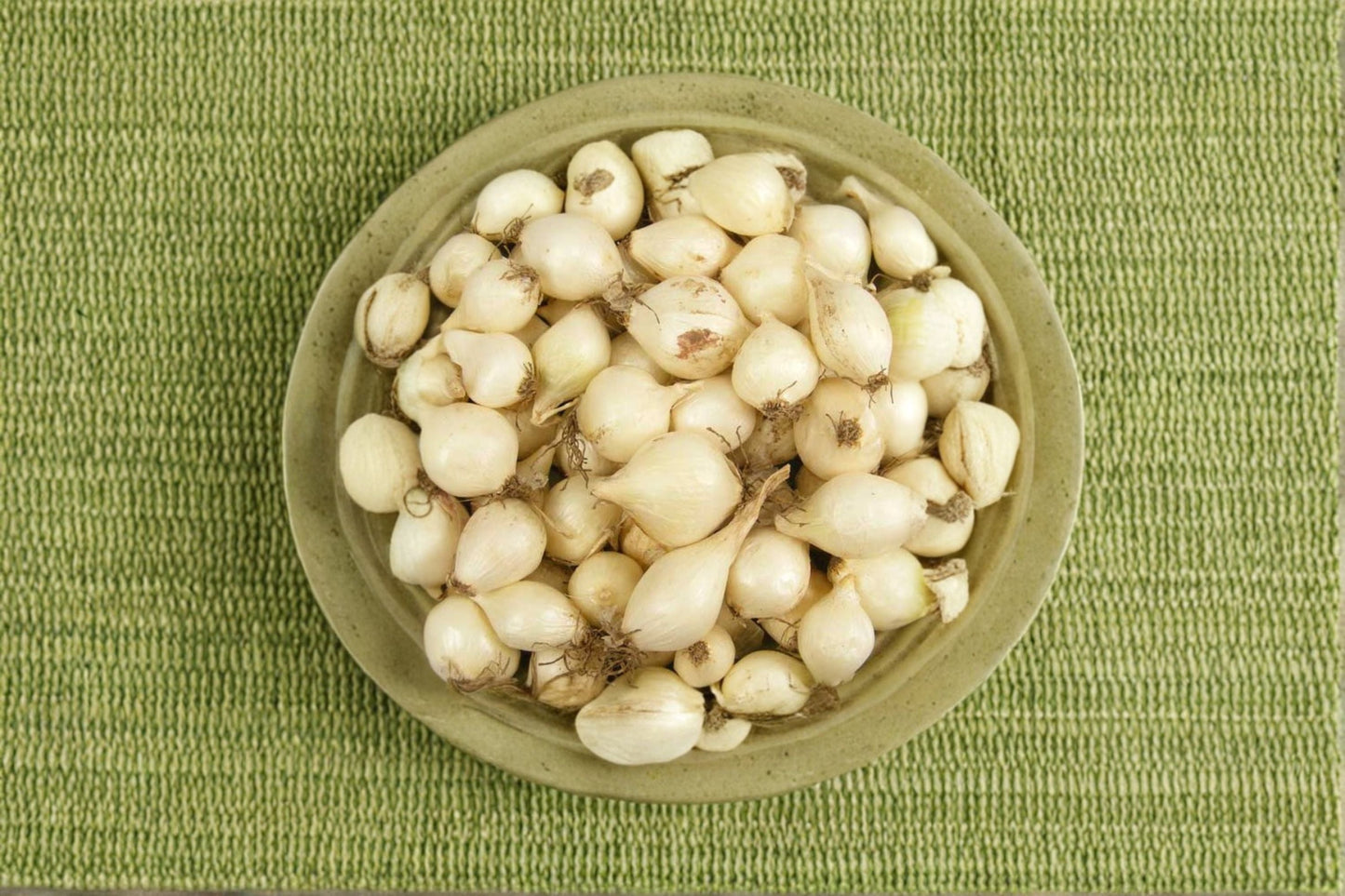 White Ebenezer 8 oz Non-GMO Onion Sets – Allium cepa Bulbs for Vegetable Gardens