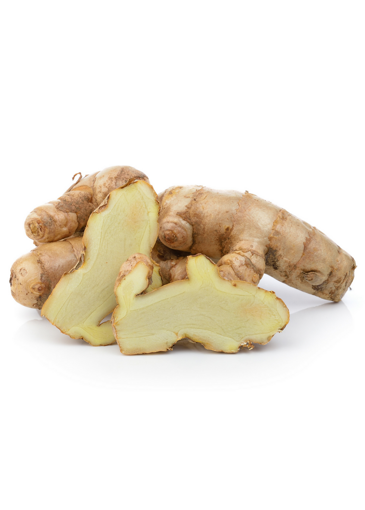 White Turmeric Rhizome Plant - Curcuma zedoaria, Perennial Herb for Container Gardening