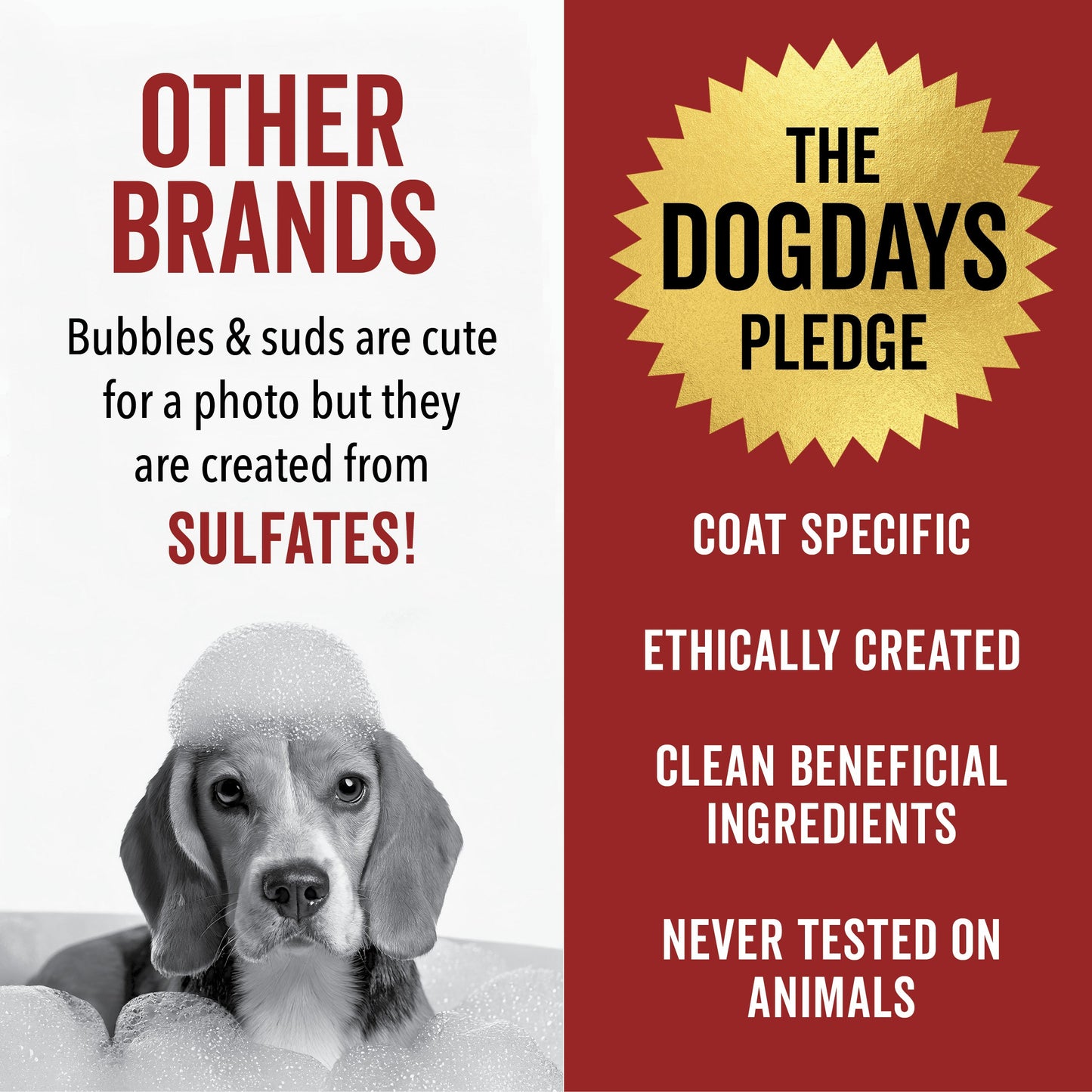DOGDAYS Moisturizing Dog Conditioner — Hypoallergenic, Detangling, and Soothing for All Coat Types