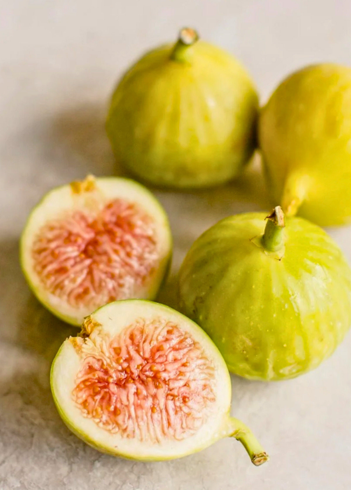 Fig Kadota Tree Cutting - Golden Green Figs with Amber Flesh, Honey-Sweet Flavor, Ficus carica
