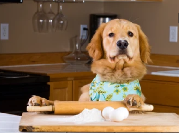 Peanut Butter Macaron Dog Treats | Handmade Sandwich Cookies for Dogs -Organic, Human-Grade
