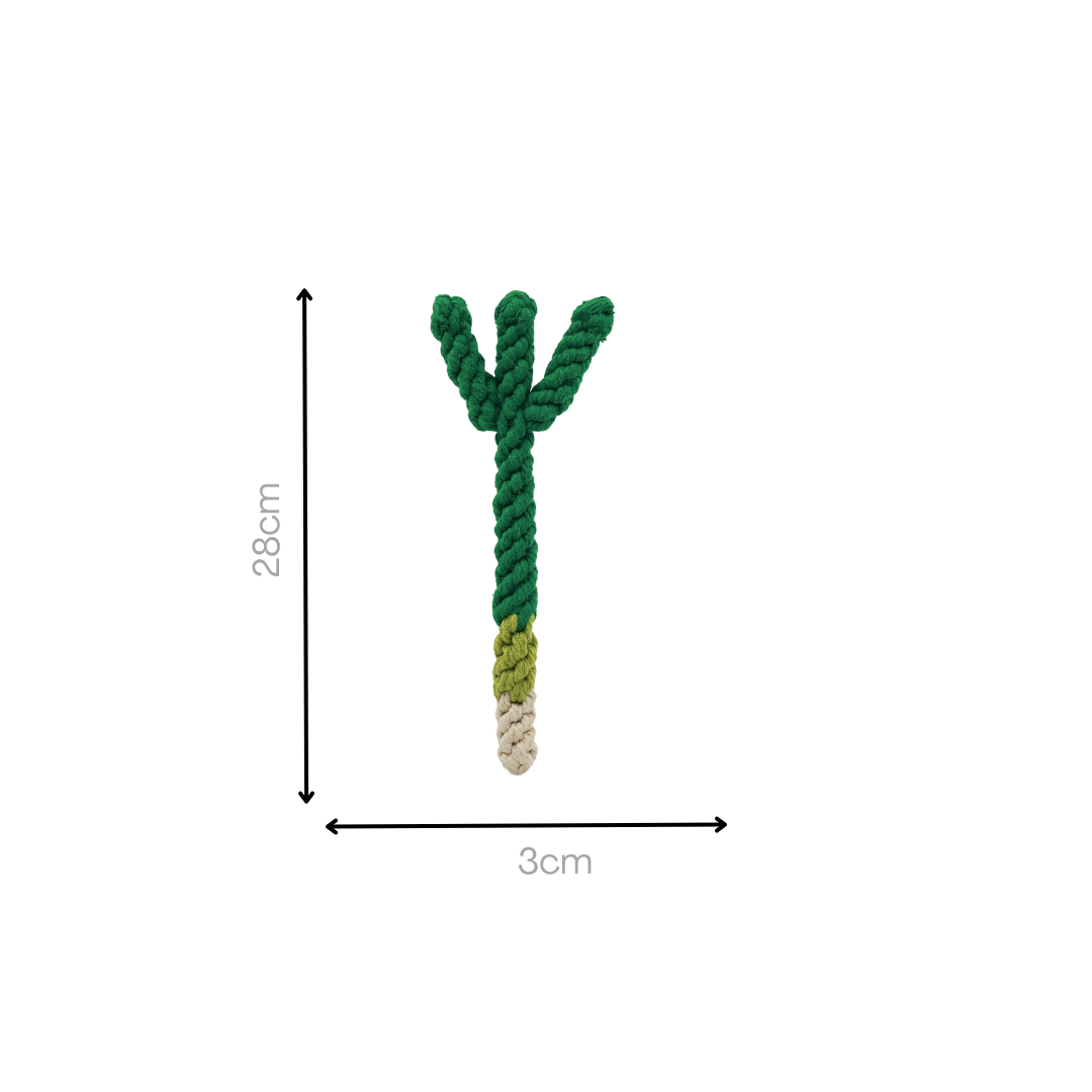 Handmade Scallion Rope Toy