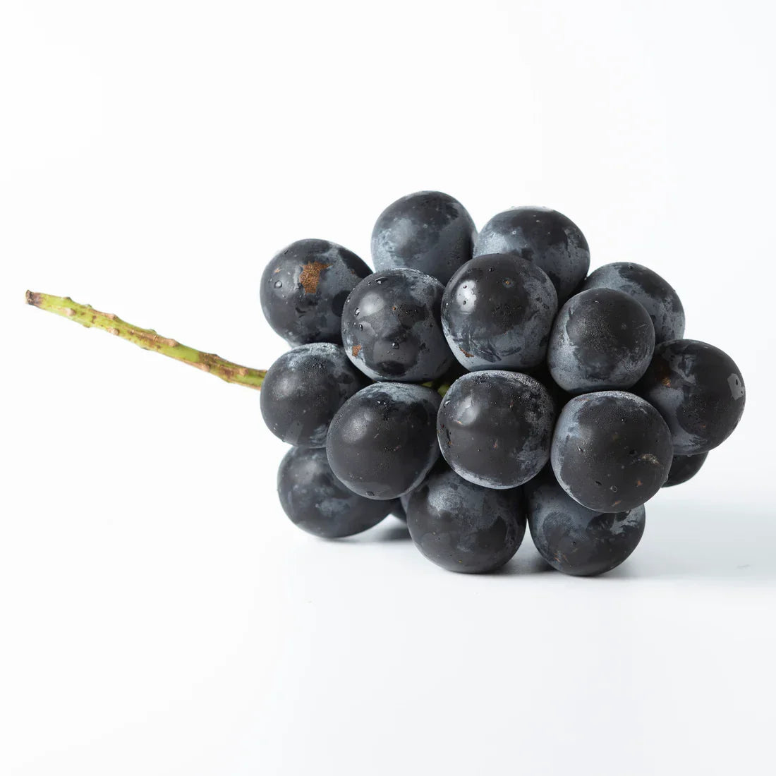 Japanese Kyoho Grape Cuttings – Unrooted Vitis vinifera × Vitis labrusca for Home Garden, Table Grapes, Juicy, Large Fruit