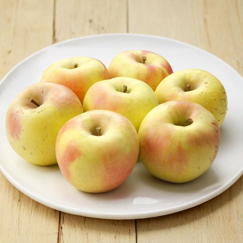 Japanese Gunma Honey Apple Tree – Malus domestica Bare Root | 32 Inches Tall | Sweet Late-Season Apple