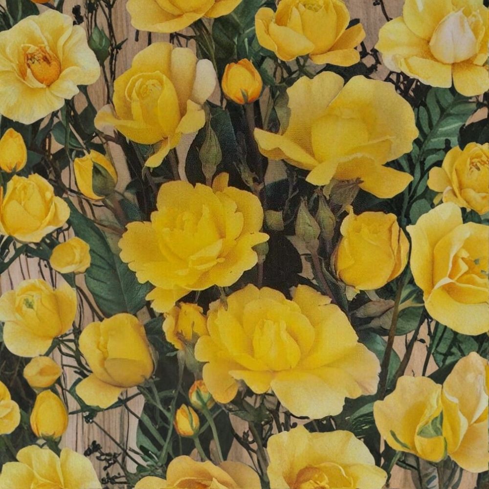 Climbing Golden Showers Rose - 2 Gallon Live Plant | Rooted Climbing Rose for Trellis & Garden