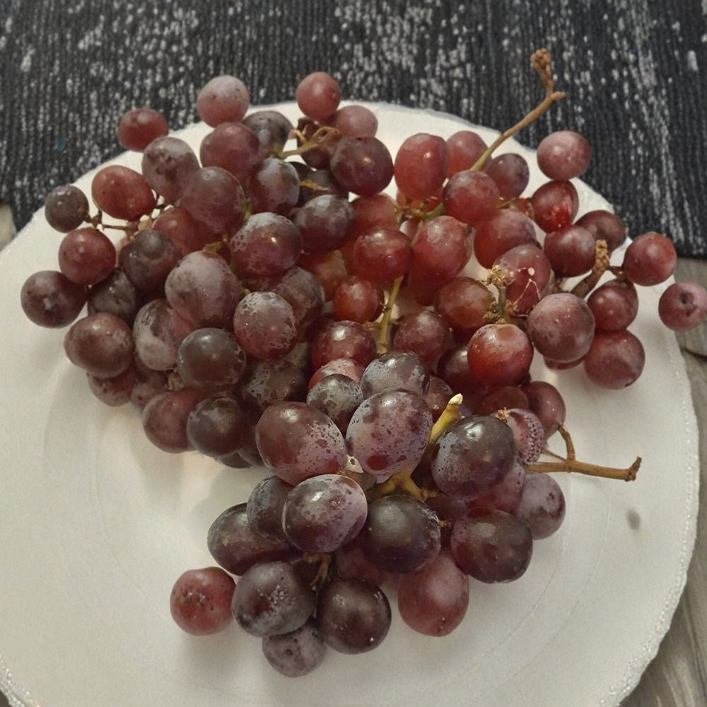 Red Globe Grape Vine – Vitis vinifera Live Plant | 1 Gallon | Self-Fertile Fruit Vine