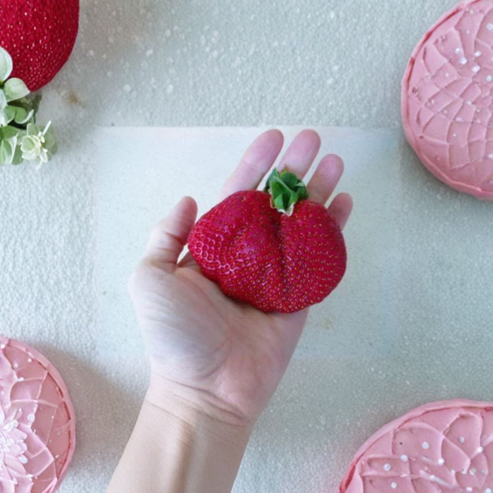 Whopper Strawberry Roots – 5 Live June Bearing Plants | Large Organic Strawberries | Zones 5–10
