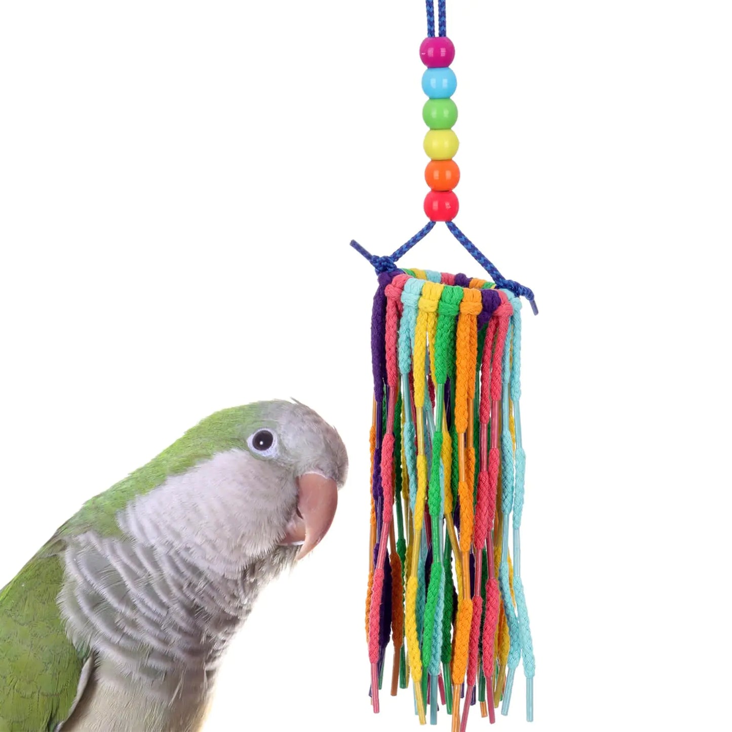 Super Bird Creations Sb1202 Small Rainbow Aglets Bird Toy Satisfies Chewing And Preening Instincts Of Parrots Ringnecks Medium Conures Quakers Encourages Curiosity Ideal For Medium Bird Size