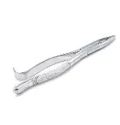 Dental Forcep #213