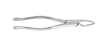 Dental Forcep #32A
