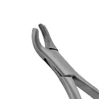 Dental Forcep #24
