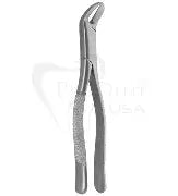 Dental Forcep #6