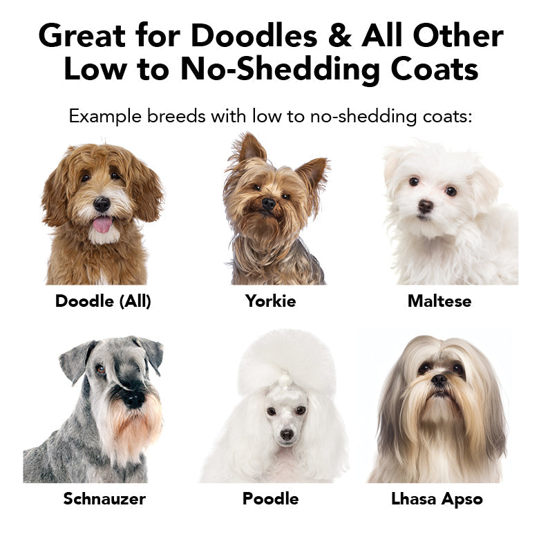 THE NON SHEDDER Dog Shampoo — Hydrating, Detangling, Hypoallergenic Formula for Doodles and all Non-Shedding Breeds