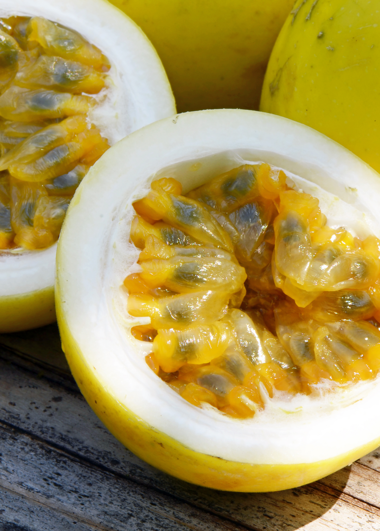 Passion Fruit Vine Sweet Yellow Sunrise | Edulis Flavicarpa | Tropical Fruit Plant for Garden & Container Growth