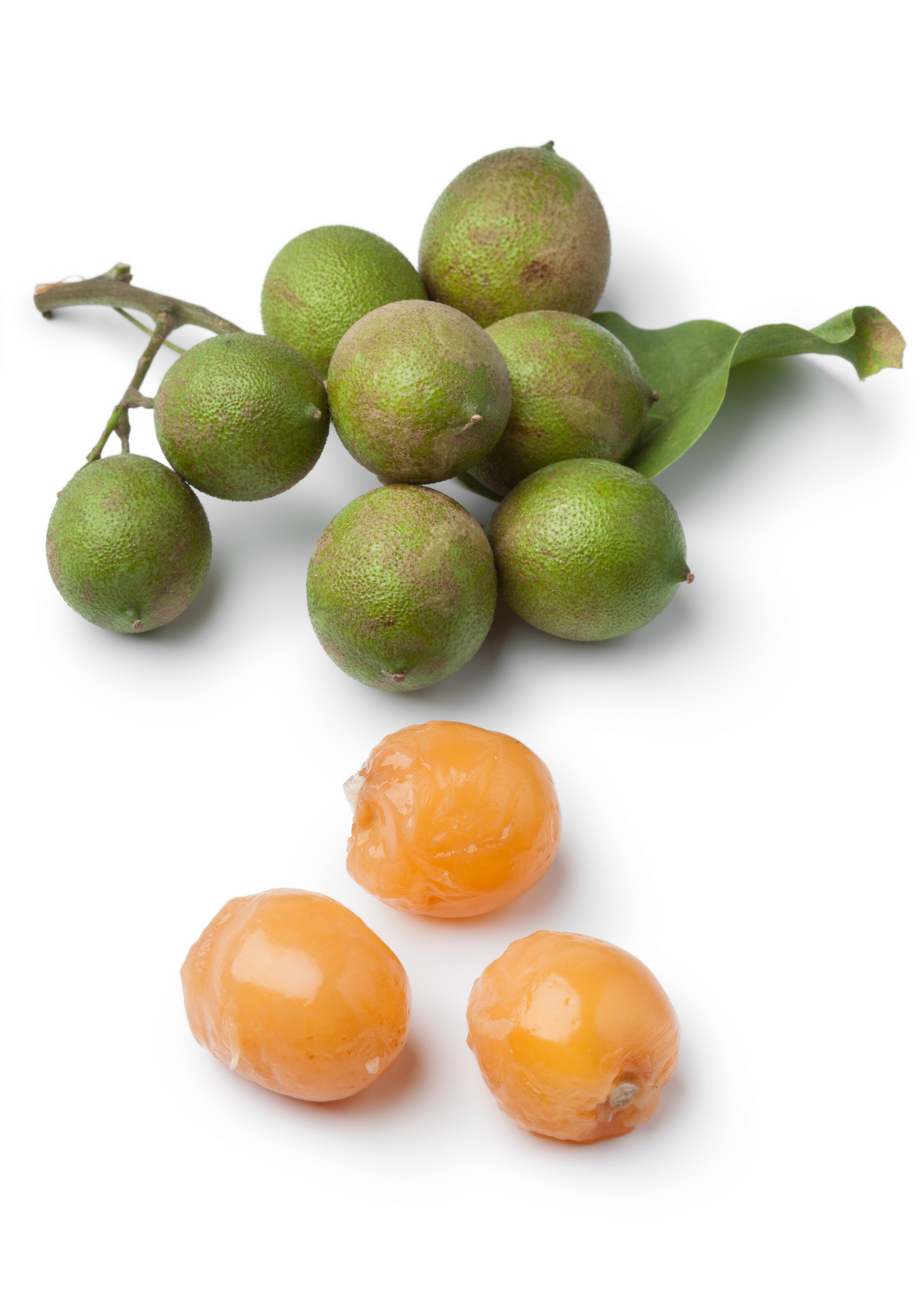 Spanish Lime Tree, Quenepa Fruit Plant, Tropical Melicoccus bijugatus, Edible Fruit, Caribbean Native, Fruit Tree for Garden