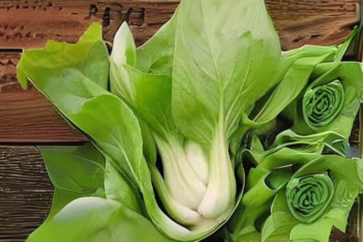 Pak Choi White Stem Seeds – Brassica rapa var. chinensis – Chinese Cabbage for Stir-Fries, Salads & Soups – 400 Seeds