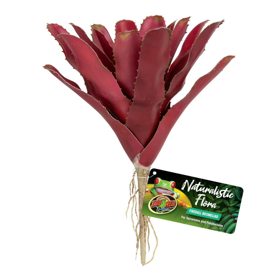 Zoo Med Naturalistic Flora Chestnut Bromeliad Terrarium Plant