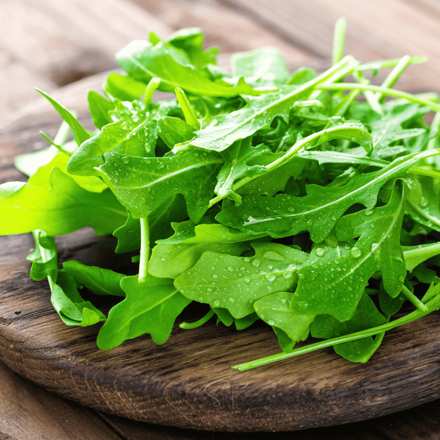 Arugula Seeds – 200 Heirloom, Open Pollinated, Non-GMO, Peppery Flavor, Fast-Growing, Cool Weather, Eruca sativa