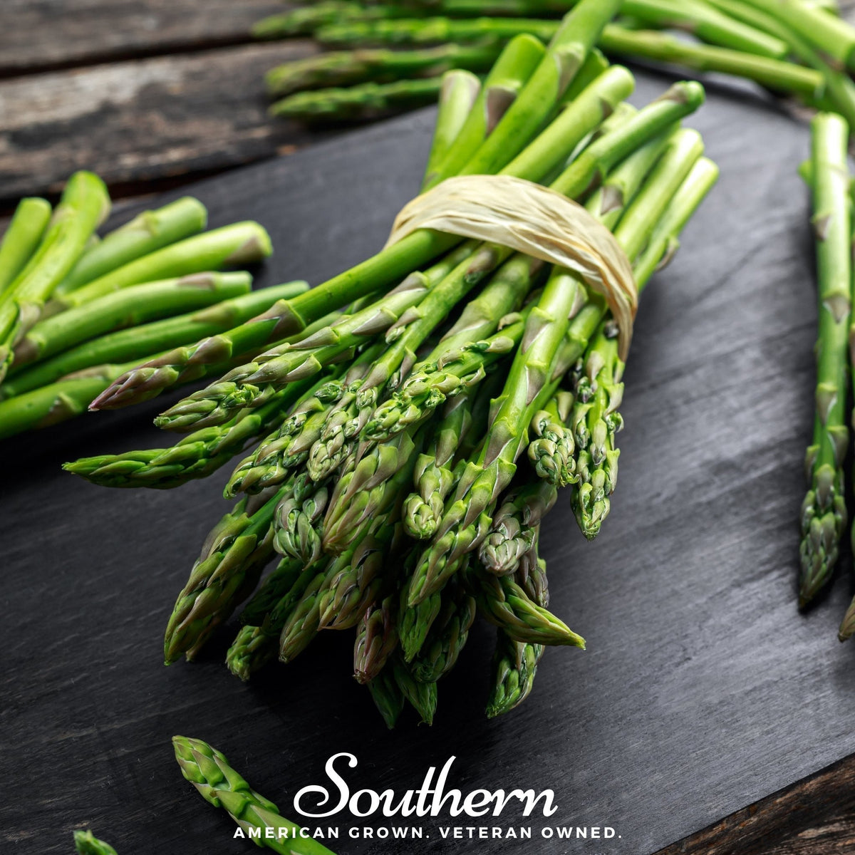 UC157 F2 Asparagus Seeds – Hybrid, Perennial, Disease-Resistant, Gourmet Taste, 50 Seeds, Asparagus officinalis