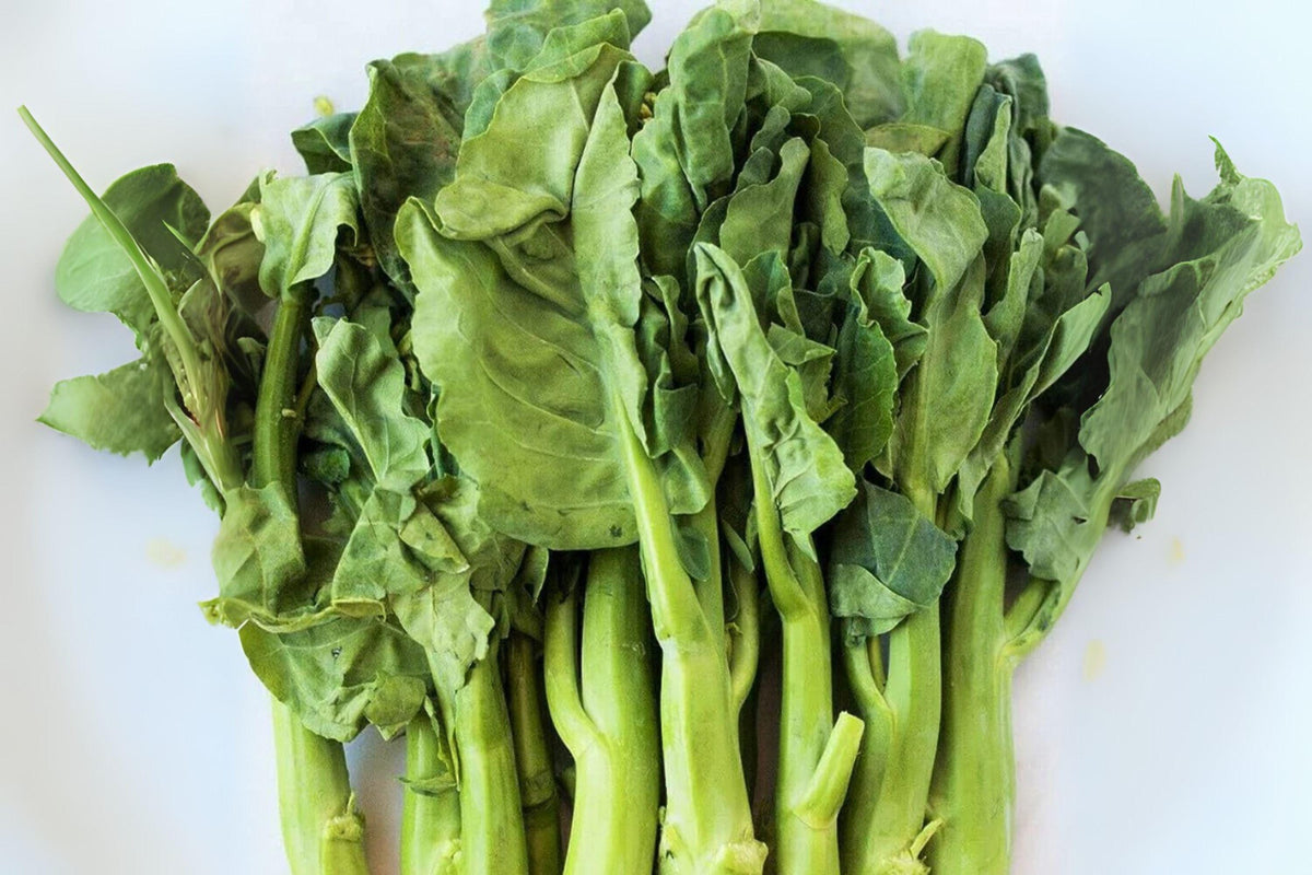 Wan Shen Kailan Seeds - Chinese Broccoli for Stir Fry - 150 Heirloom Seeds - Brassica oleracea var. alboglabra