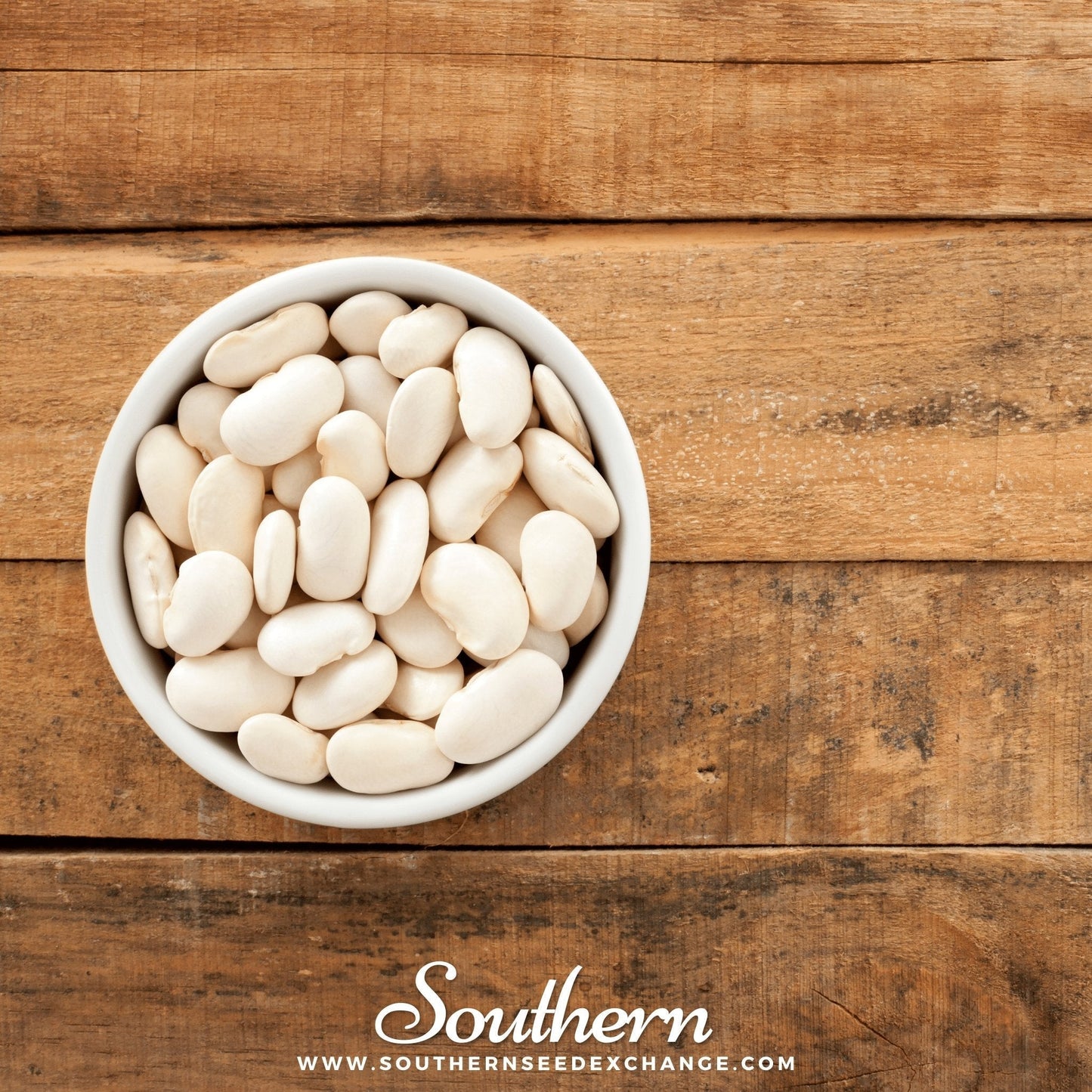 Henderson Bush Lima Bean Seeds | Heirloom, Non-GMO, Open Pollinated, 15 Seeds, Phaseolus lunatus