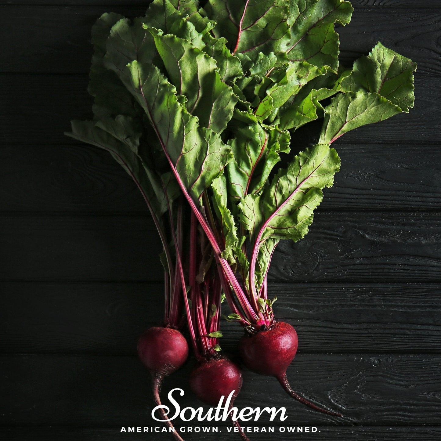 Detroit Dark Red Beet Seeds – 200 Non-GMO Heirloom Beta vulgaris for Canning, Roasting, Salads